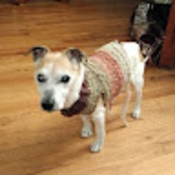 Meet your Posher, Elaine - Picture 1 of 1